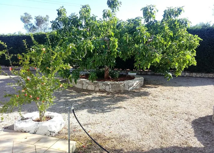 Tenuta Cazzato