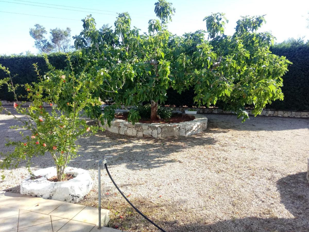 Tenuta Cazzato * Lido Marini