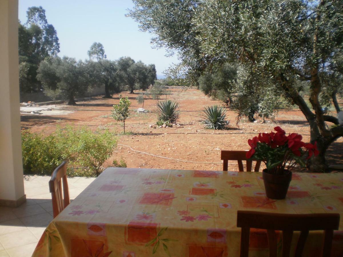 Tenuta Cazzato Lido Marini